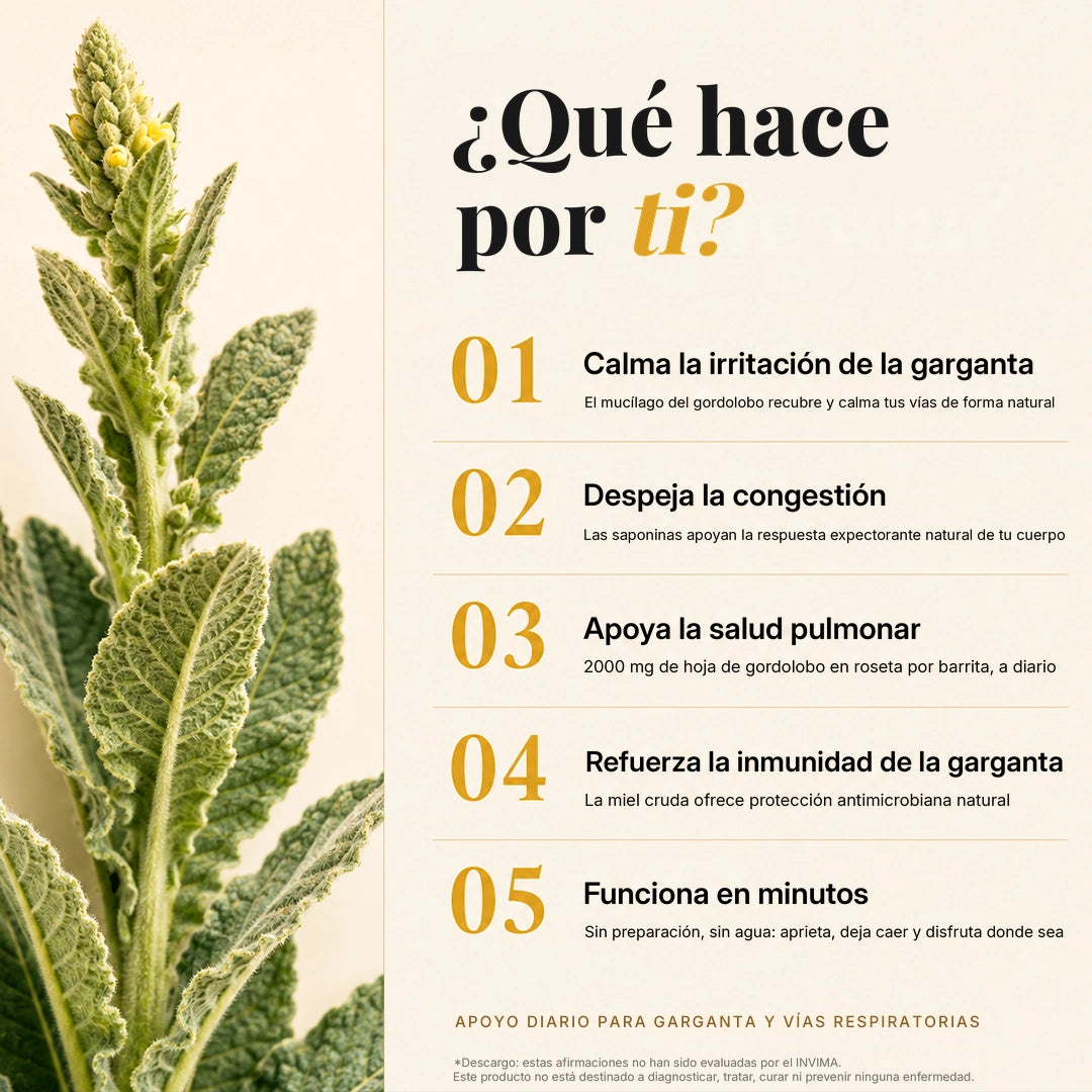 Sticks de miel de gordolobo®-INCLUYE GUIA GRATIS PARA MEJORAR LA SALUD DE TUS PULMONES