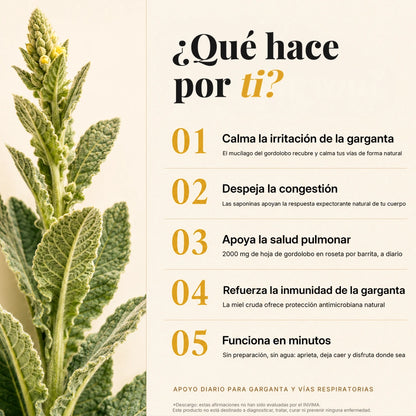 Sticks de miel de gordolobo®-INCLUYE GUIA GRATIS PARA MEJORAR LA SALUD DE TUS PULMONES