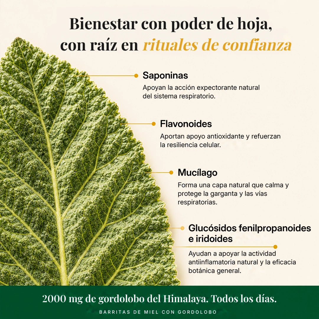Sticks de miel de gordolobo®-INCLUYE GUIA GRATIS PARA MEJORAR LA SALUD DE TUS PULMONES