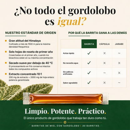 Sticks de miel de gordolobo®-INCLUYE GUIA GRATIS PARA MEJORAR LA SALUD DE TUS PULMONES