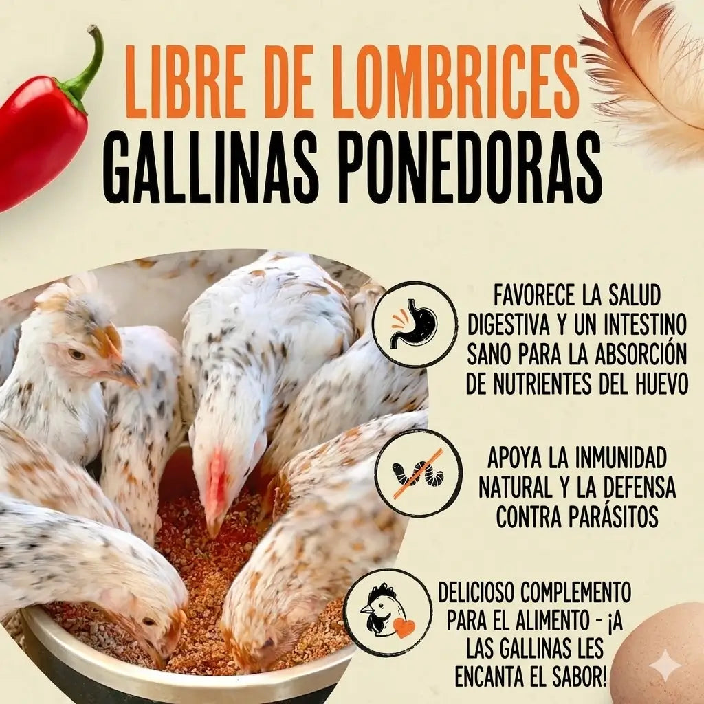 Armadura para Aves® 2x1 — Gallinas más sanas y más huevos en 30 días - Incluye GUÍA GRATIS + Envío Gratis