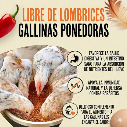 Armadura para Aves® 2x1 — Gallinas más sanas y más huevos en 30 días - Incluye GUÍA GRATIS + Envío Gratis