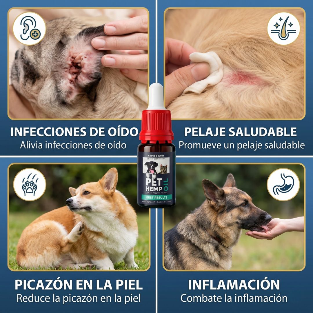 Encabezado