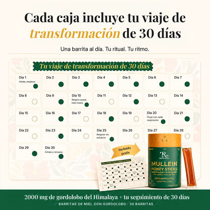 Sticks de miel de gordolobo®-INCLUYE GUIA GRATIS PARA MEJORAR LA SALUD DE TUS PULMONES