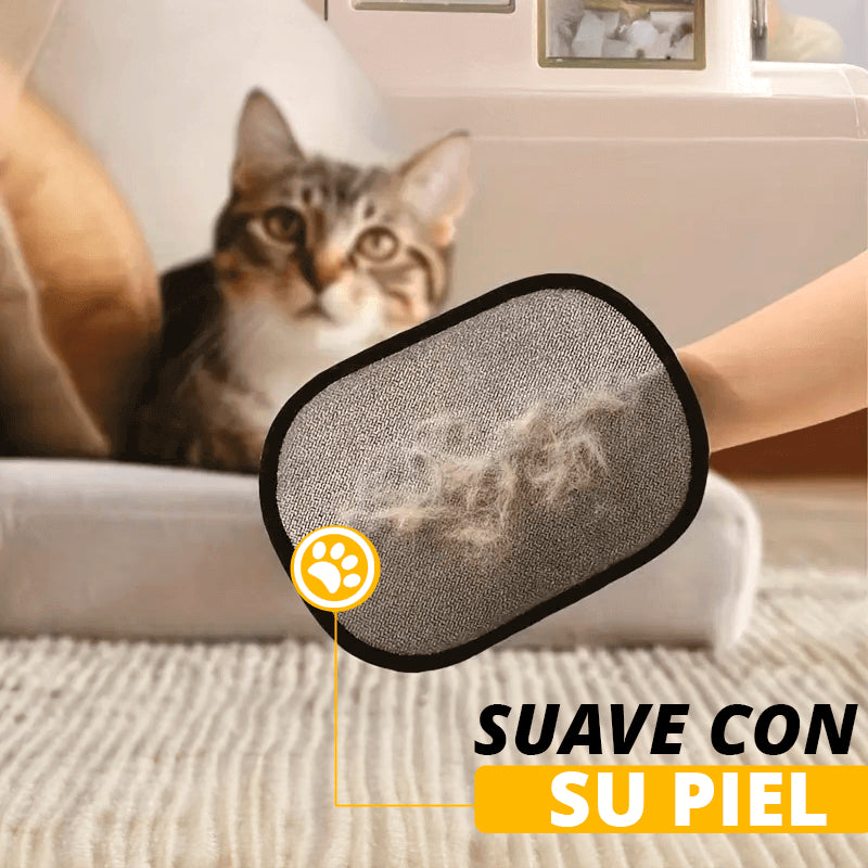 Encabezado
