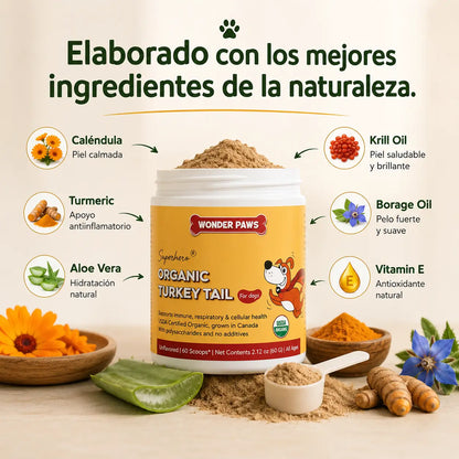 Wonder Paws® + RECIBE GRATIS NUESTRA GUÍA DE ALIMENTACIÓN PARA PERROS