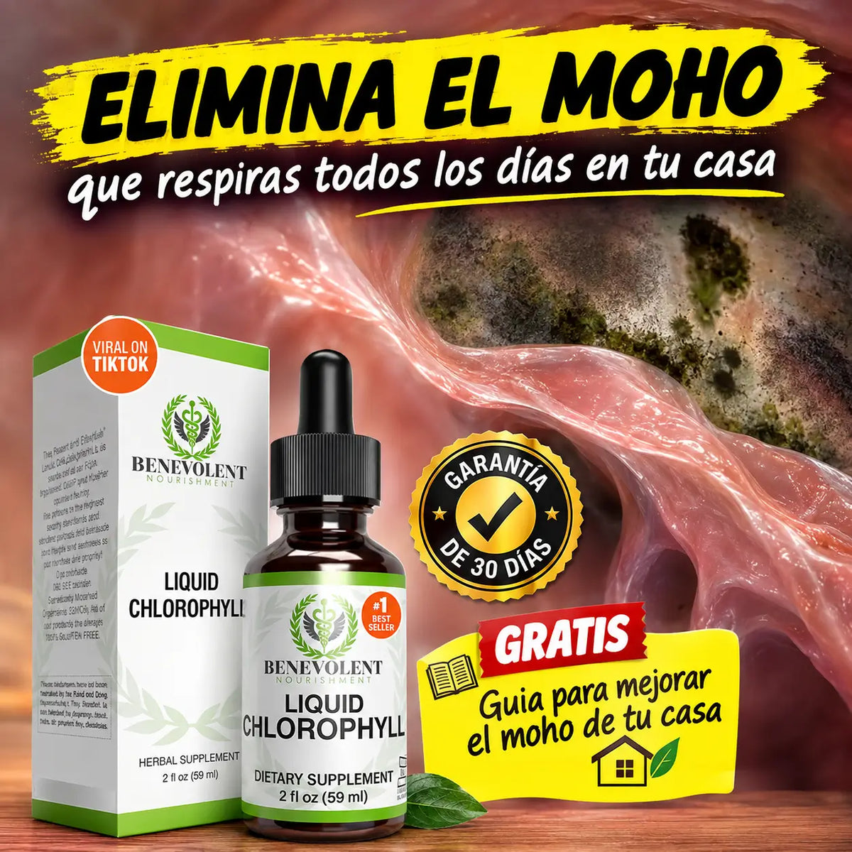SOPORTE PARA LA ELIMINACIÓN DE MOHO BENEVOLENT® + 30 DIAS DE GARANTIA