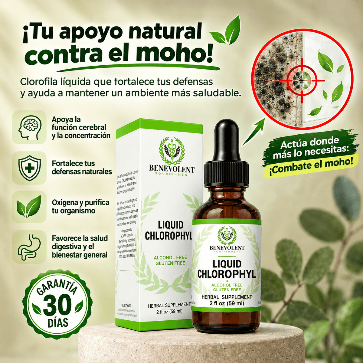 SOPORTE PARA LA ELIMINACIÓN DE MOHO BENEVOLENT® + 30 DIAS DE GARANTIA