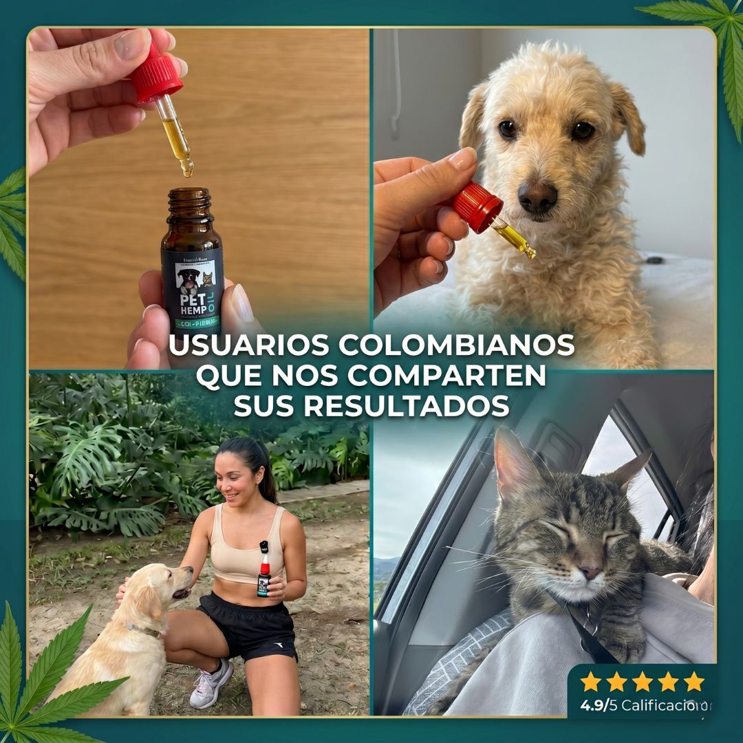PET HEMP OIL - Elimina la picazón, hongos, mal olor e infecciones digestivas de tu mascota + Obsequio GRATIS "Guia para entender el comportamiento de tu mascota"