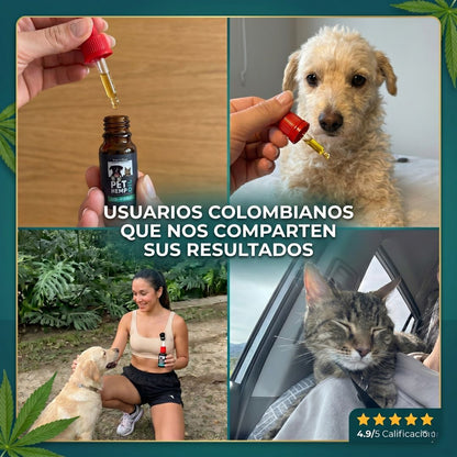 PET HEMP OIL - Elimina la picazón, hongos, mal olor e infecciones digestivas de tu mascota + Obsequio GRATIS "Guia para entender el comportamiento de tu mascota"