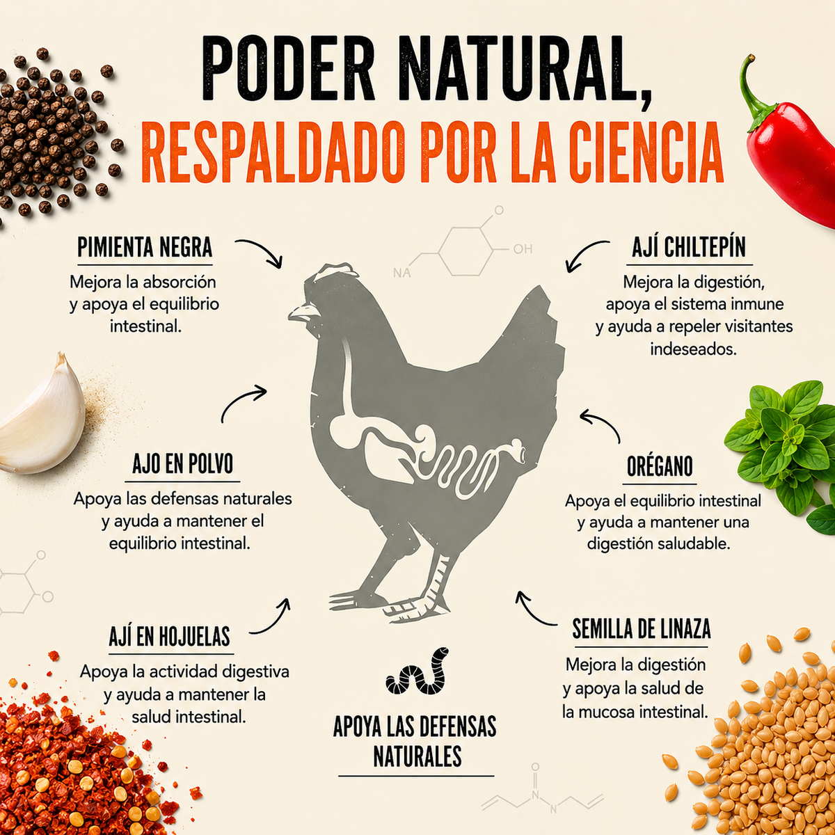 Armadura para Aves® 2x1 — Gallinas más sanas y más huevos en 30 días - Incluye GUÍA GRATIS + Envío Gratis