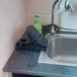 Encabezado