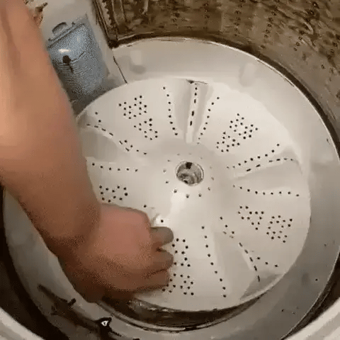 Encabezado
