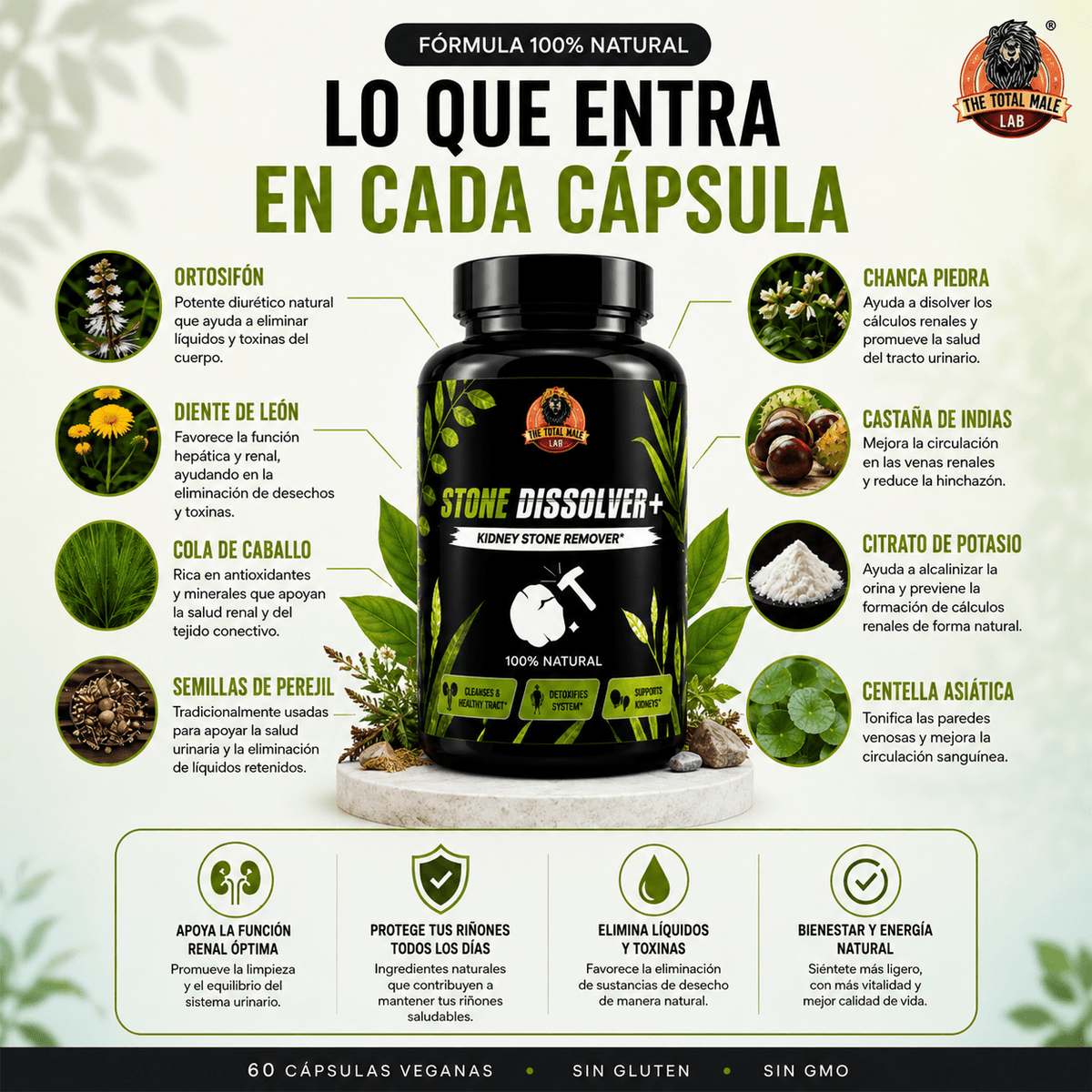 STONE DISSOLVER™  - Fórmula botánica avanzada con hierba Chancapiedra