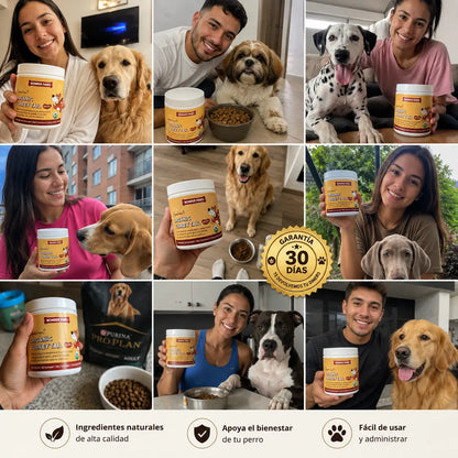 Wonder Paws® + RECIBE GRATIS NUESTRA GUÍA DE ALIMENTACIÓN PARA PERROS