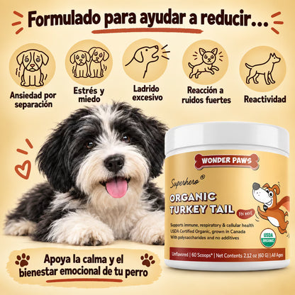 Wonder Paws® + RECIBE GRATIS NUESTRA GUÍA DE ALIMENTACIÓN PARA PERROS