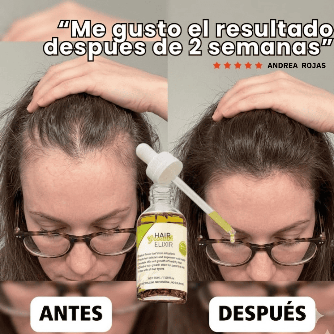 Encabezado