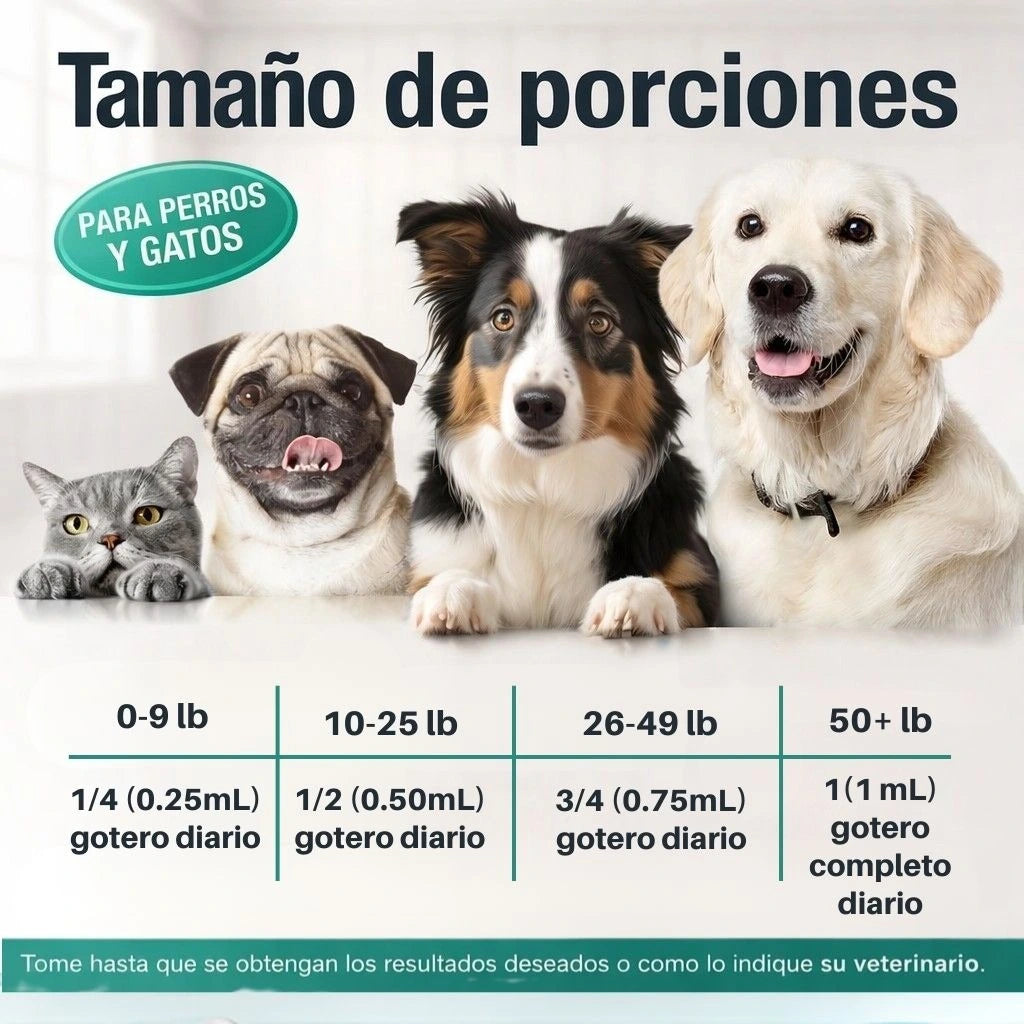 PET HEMP OIL - Elimina la picazón, hongos, mal olor e infecciones digestivas de tu mascota + Obsequio GRATIS "Guia para entender el comportamiento de tu mascota"