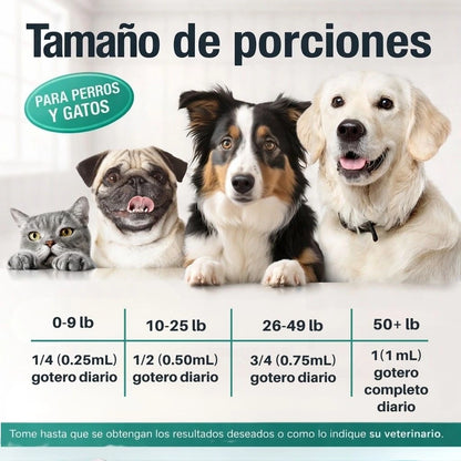 PET HEMP OIL - Elimina la picazón, hongos, mal olor e infecciones digestivas de tu mascota + Obsequio GRATIS "Guia para entender el comportamiento de tu mascota"
