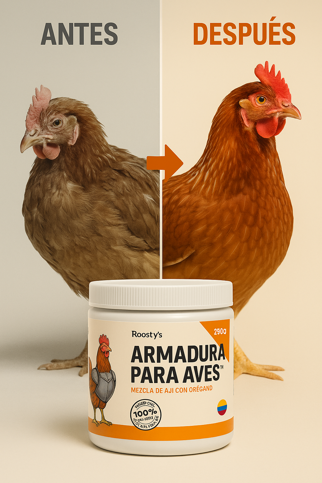 Antes y despu&eacute;s de Armadura Para Aves